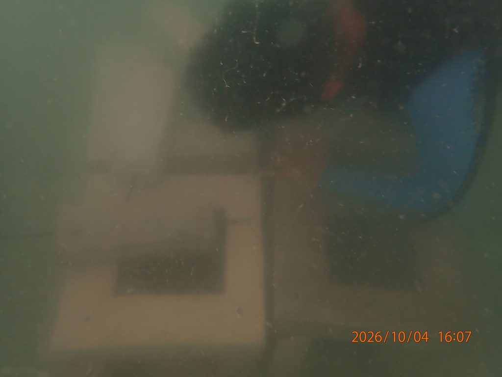 PA041934